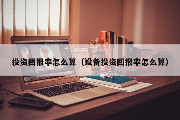 投资回报率怎么算（设备投资回报率怎么算）