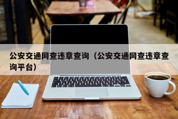 公安交通网查违章查询（公安交通网查违章查询平台）