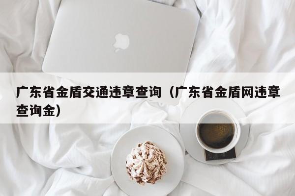 广东省金盾交通违章查询（广东省金盾网违章查询金）