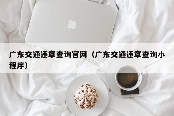 广东交通违章查询官网（广东交通违章查询小程序）