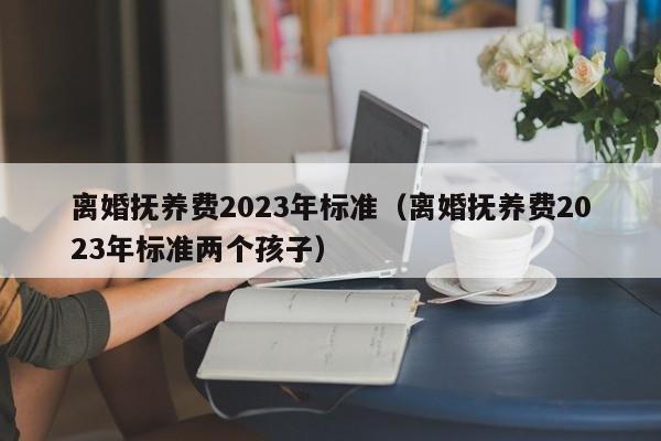 离婚抚养费2023年标准（离婚抚养费2023年标准两个孩子）