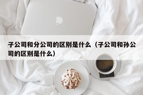 子公司和分公司的区别是什么（子公司和孙公司的区别是什么）