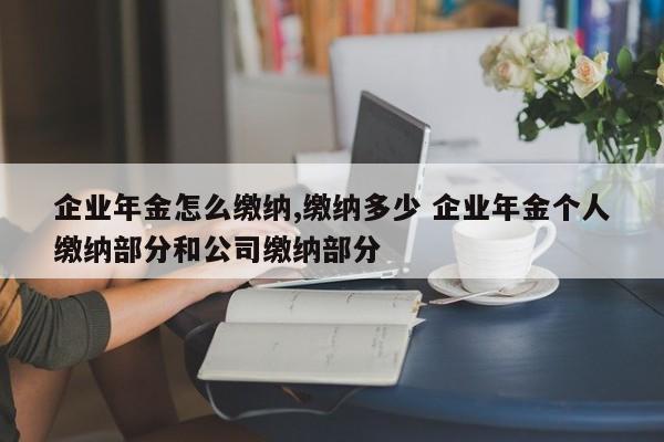 企业年金怎么缴纳,缴纳多少 企业年金个人缴纳部分和公司缴纳部分