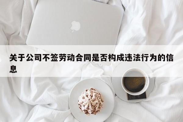 关于公司不签劳动合同是否构成违法行为的信息