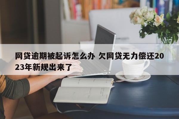 网贷逾期被起诉怎么办 欠网贷无力偿还2023年新规出来了