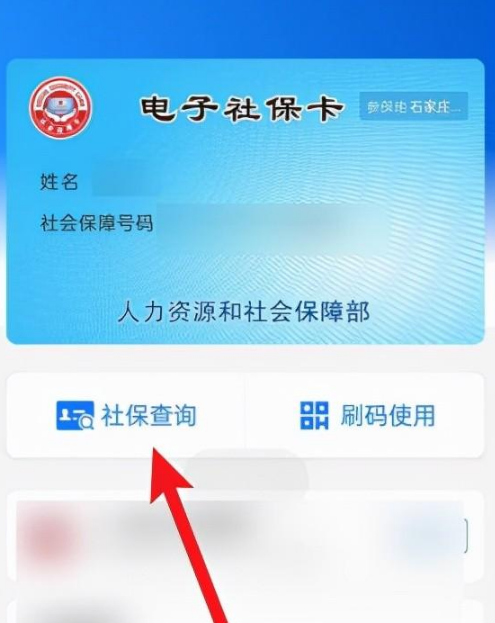 如何在手机上查询社保缴费情况（查询社保卡里有多少钱）