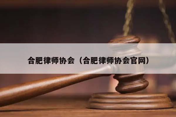 合肥律师协会（合肥律师协会官网）