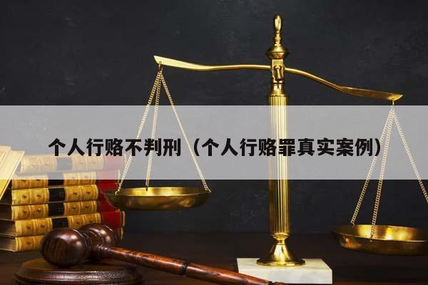 个人行赂不判刑（个人行赂罪真实案例）