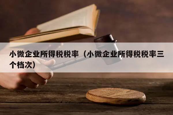 小微企业所得税税率（小微企业所得税税率三个档次）