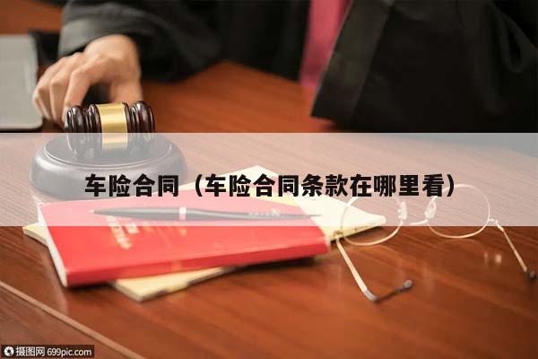 车险合同（车险合同条款在哪里看）