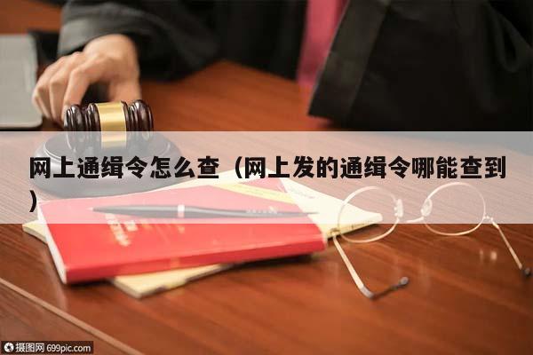 网上通缉令怎么查（网上发的通缉令哪能查到）