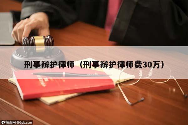 刑事辩护律师（刑事辩护律师费30万）