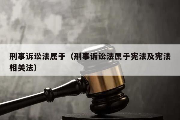 刑事诉讼法属于（刑事诉讼法属于宪法及宪法相关法）