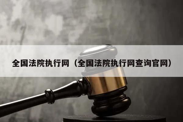 全国法院执行网（全国法院执行网查询官网）