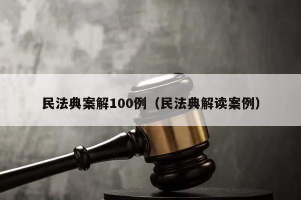 民法典案解100例（民法典解读案例）