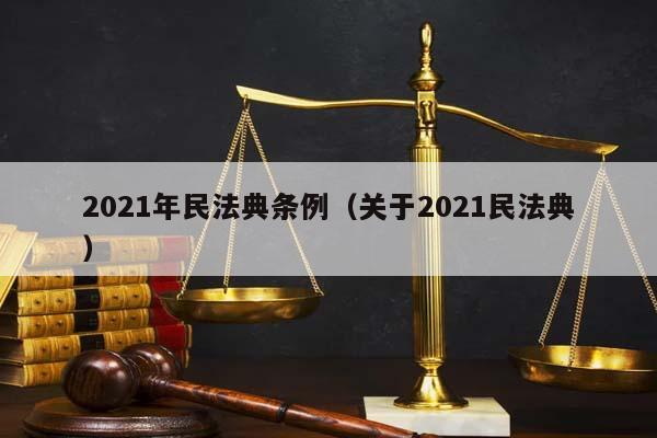 2021年民法典条例（关于2021民法典）