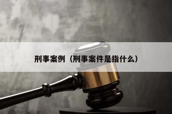 刑事案例（刑事案件是指什么）