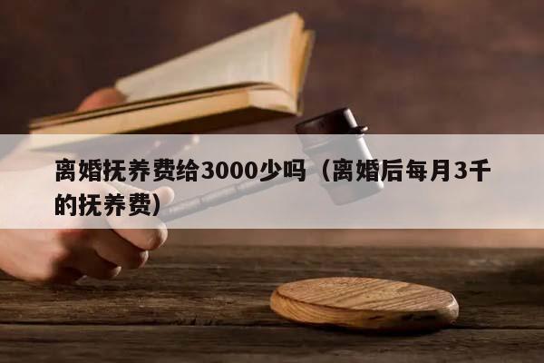 离婚抚养费给3000少吗（离婚后每月3千的抚养费）