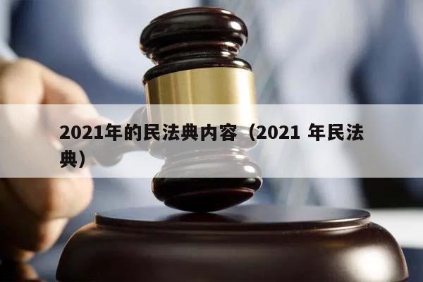 2021年的民法典内容（2021 年民法典）