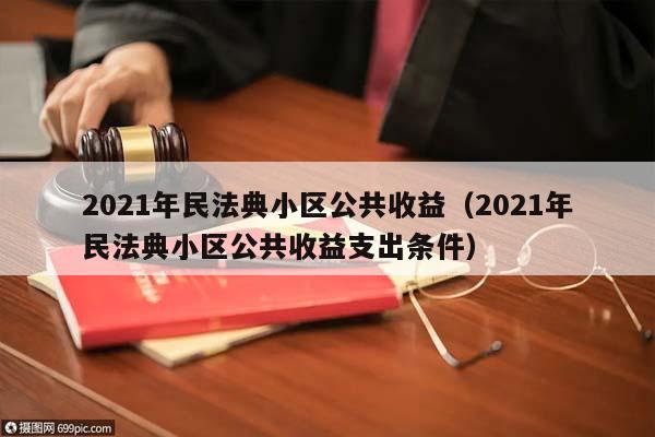 2021年民法典小区公共收益（2021年民法典小区公共收益支出条件）