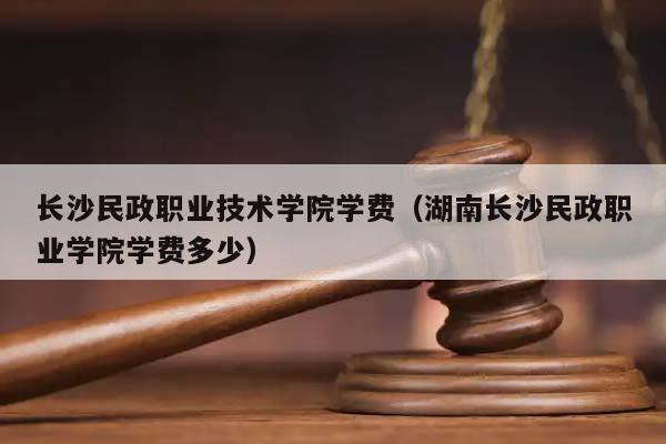 长沙民政职业技术学院学费（湖南长沙民政职业学院学费多少）