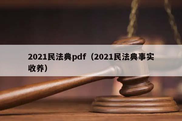 2021民法典pdf（2021民法典事实收养）