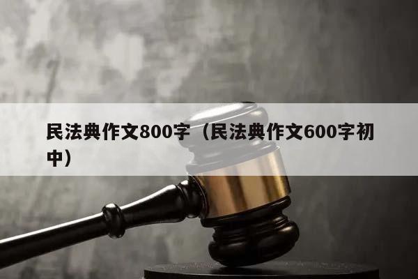 民法典作文800字（民法典作文600字初中）