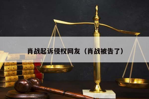 肖战起诉侵权网友（肖战被告了）