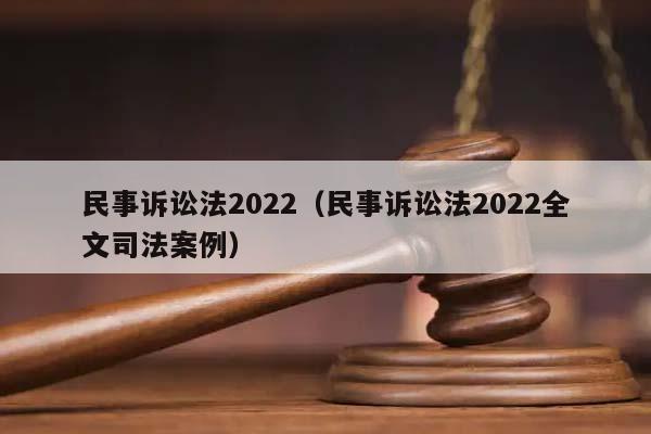 民事诉讼法2022（民事诉讼法2022全文司法案例）