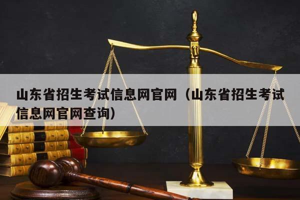 山东省招生考试信息网官网（山东省招生考试信息网官网查询）