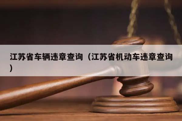 江苏省车辆违章查询（江苏省机动车违章查询）