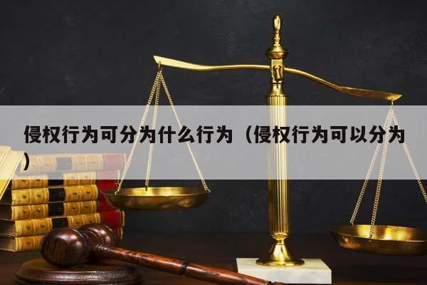 侵权行为可分为什么行为（侵权行为可以分为）