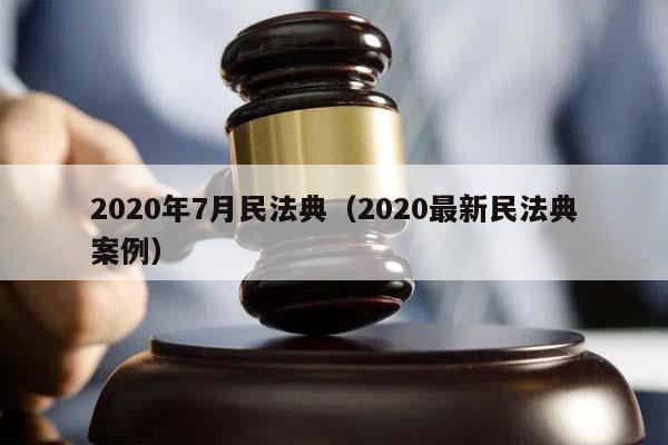 2020年7月民法典（2020最新民法典案例）