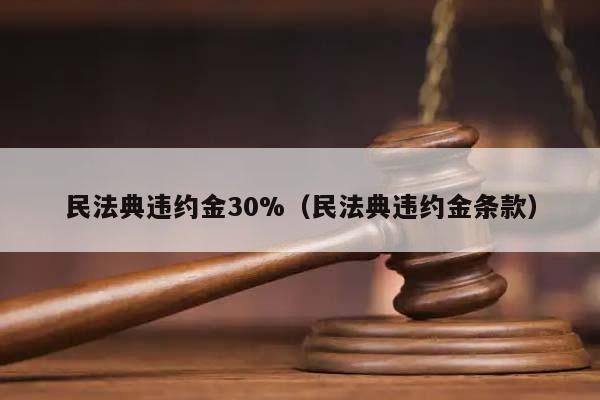 民法典违约金30%（民法典违约金条款）