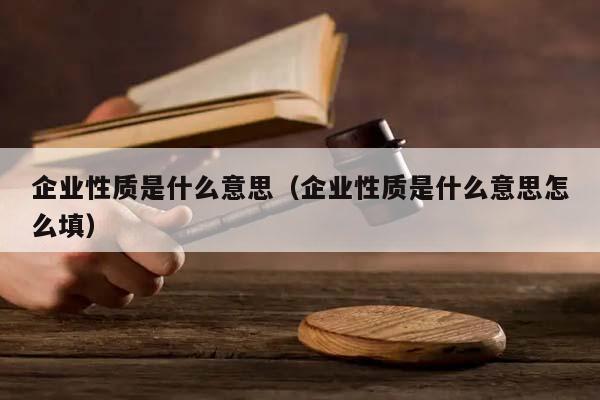 企业性质是什么意思（企业性质是什么意思怎么填）