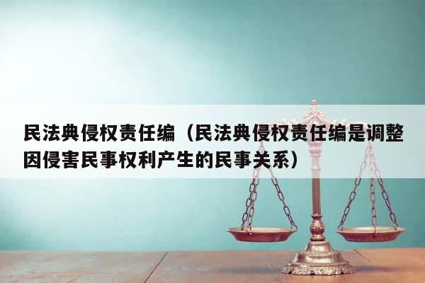 民法典侵权责任编（民法典侵权责任编是调整因侵害民事权利产生的民事关系）