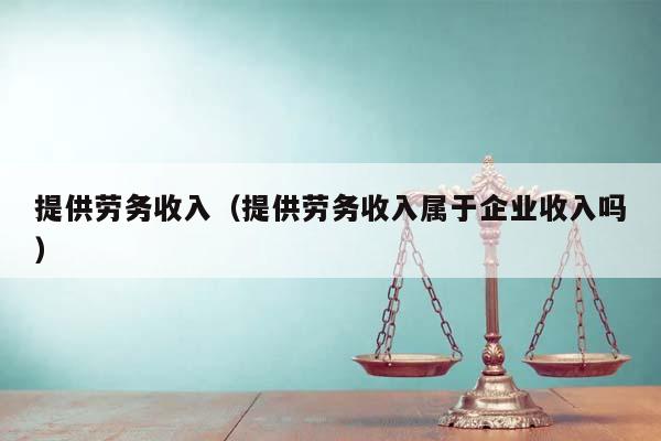 提供劳务收入（提供劳务收入属于企业收入吗）