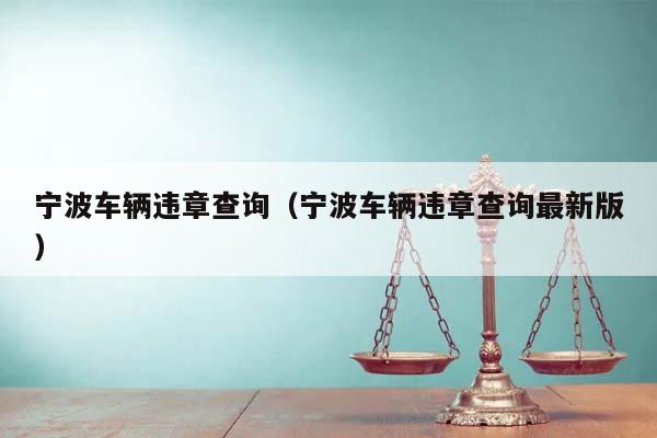 宁波车辆违章查询（宁波车辆违章查询最新版）