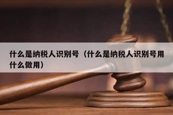 什么是纳税人识别号（什么是纳税人识别号用什么做用）