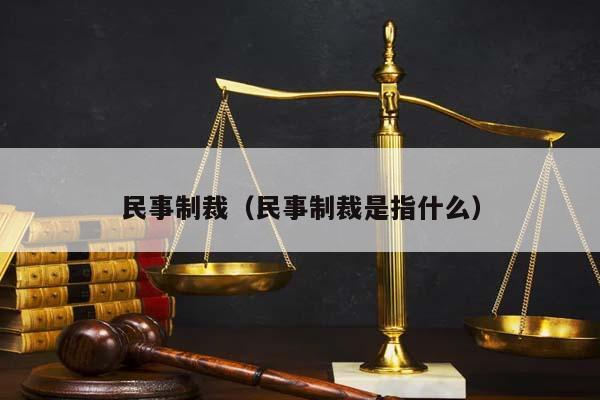 民事制裁（民事制裁是指什么）