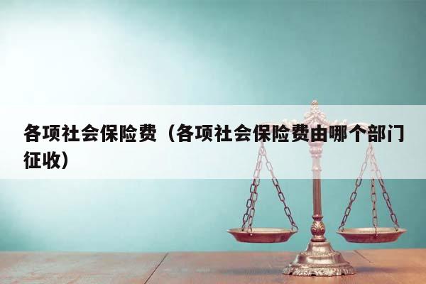 各项社会保险费（各项社会保险费由哪个部门征收）