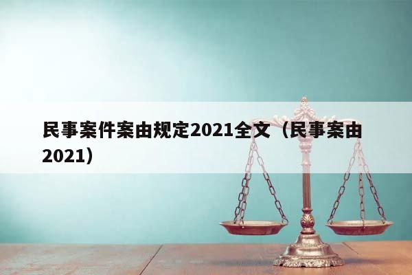 民事案件案由规定2021全文（民事案由 2021）