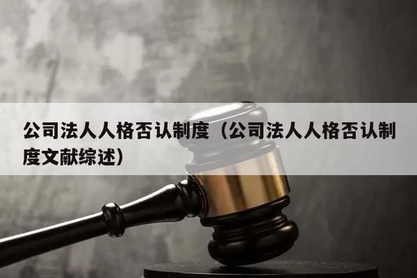 公司法人人格否认制度（公司法人人格否认制度文献综述）