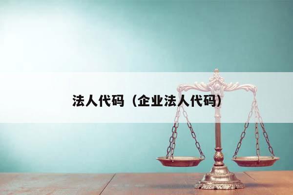 法人代码（企业法人代码）