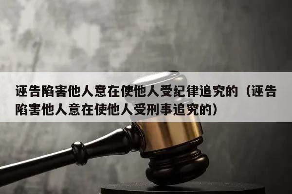 诬告陷害他人意在使他人受纪律追究的（诬告陷害他人意在使他人受刑事追究的）