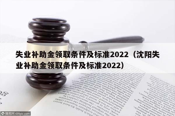 失业补助金领取条件及标准2022（沈阳失业补助金领取条件及标准2022）