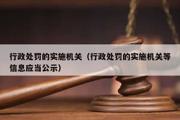 行政处罚的实施机关（行政处罚的实施机关等信息应当公示）