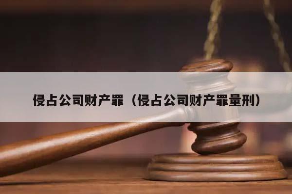 侵占公司财产罪（侵占公司财产罪量刑）