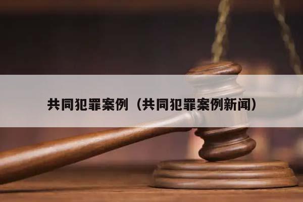 共同犯罪案例（共同犯罪案例新闻）