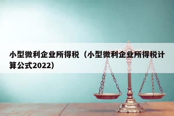 小型微利企业所得税（小型微利企业所得税计算公式2022）